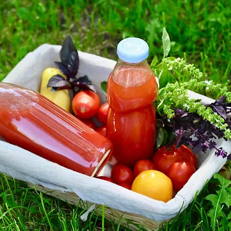 בית הארחה Erdody Vendeghaz 3*