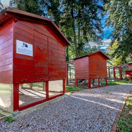 בית הארחה Erdody Vendeghaz Kastelyosdombo