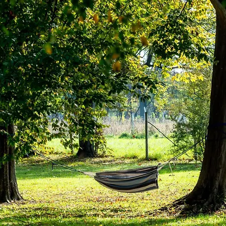 Erdody Vendeghaz Kastelyosdombo
